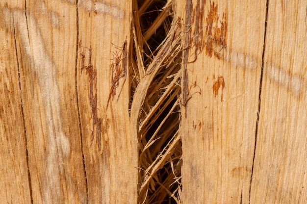 Photo the surface of an old wood for natural background, in shallow focus