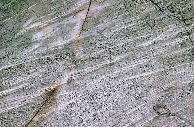 The surface of an old wood for natural background