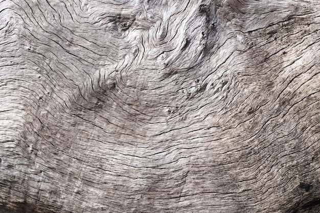 Surface of old wood texture Vintage timber texture background