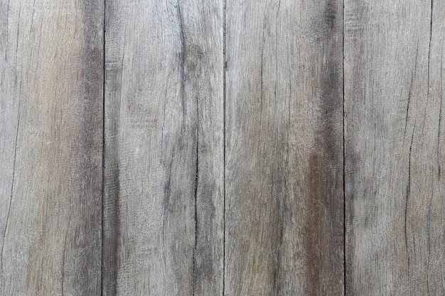 Surface of old wood Texture.