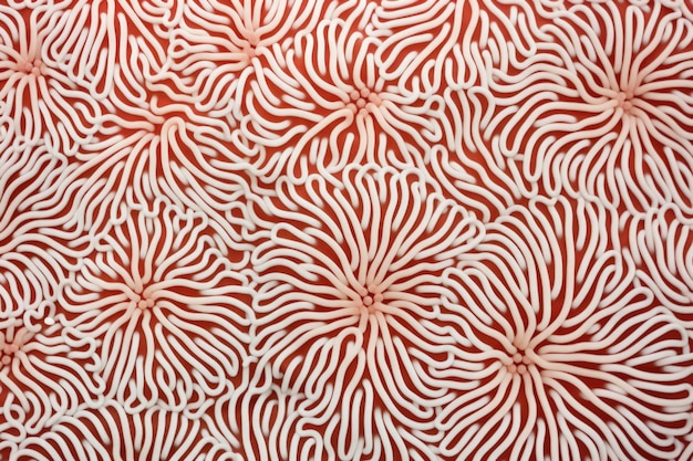 Photo surface pattern of a finger coral