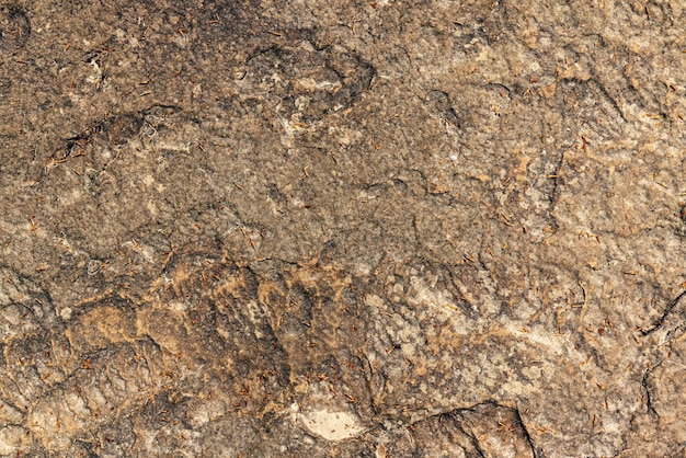 Surface of the rock