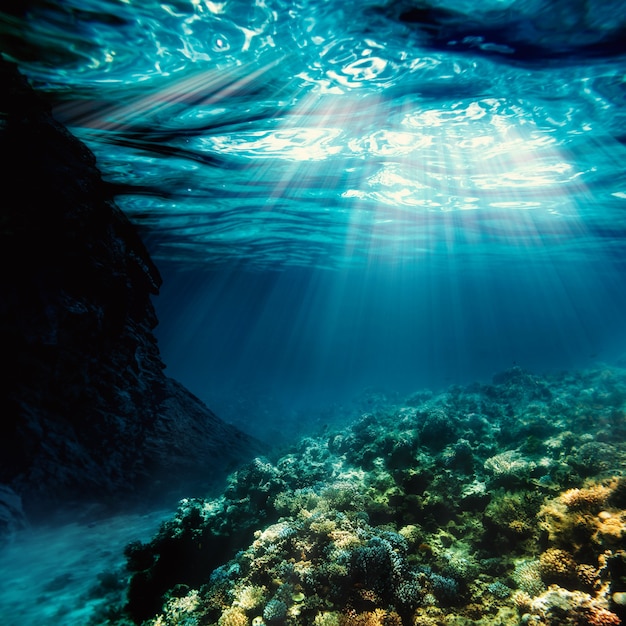 Sabbia superficiale sulla spiaggia sott'acqua