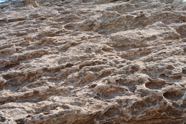 Surface sandy rock Rocky shore of the Caspian Sea