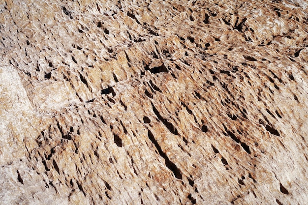 Surface sandy rock Rocky shore of the Caspian Sea