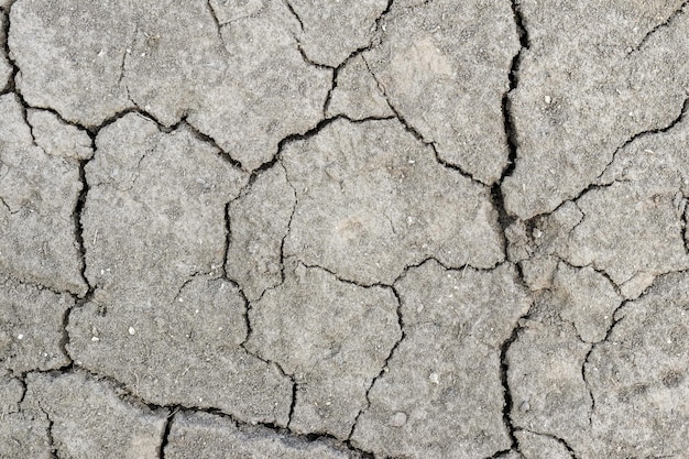 Поверхность почвы покрывается трещинами во время засухи