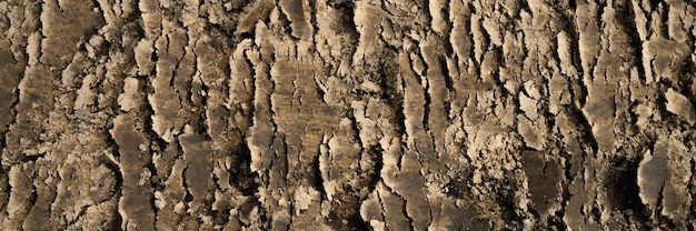 surface texture from the loose surface of the sand and earth soil