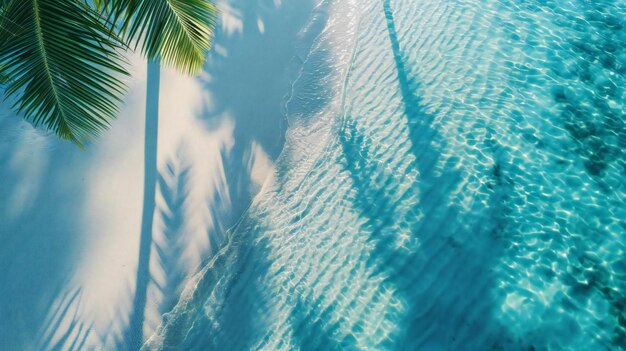 The surface of the water and the intriguing shadow of palm leaves