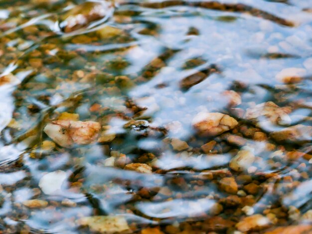 Поверхностные воды мелководного водопада в лесу