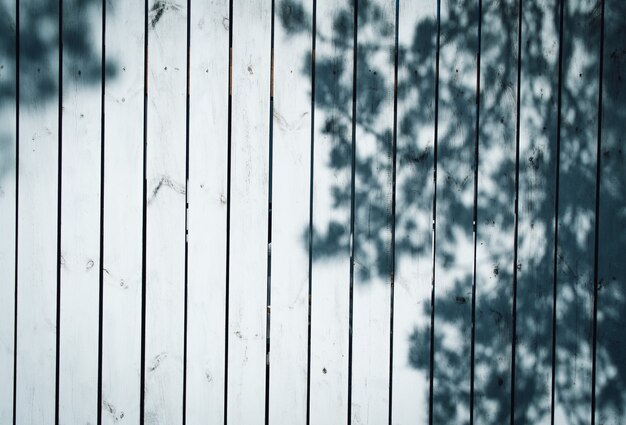 Superficie di assi di legno bianco con l'ombra di un albero.