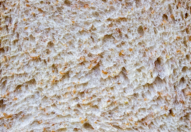 Surface of Whole wheat bread