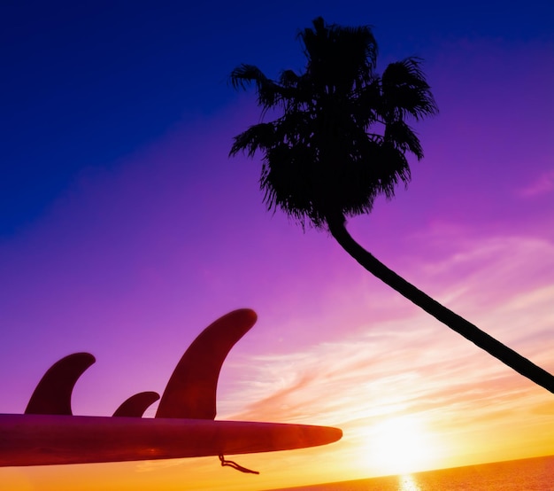 Surfboard and palm silhouette by the sea at sunset