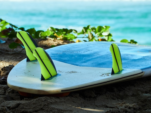 Foto surfboard tail fins. apparatuur close-up.