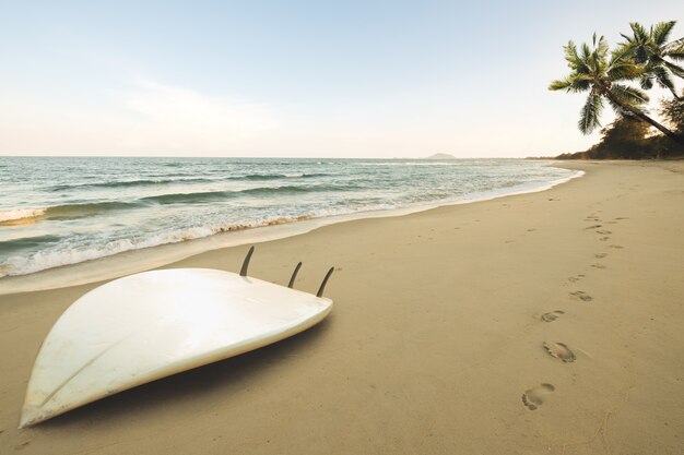 Surfboard on tropical beach at sunrise in summer