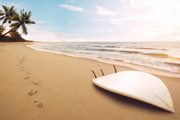 Photo surfboard on tropical beach at sunrise in summer