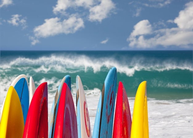 Foto tavole da surf alla spiaggia di lumahai kauai