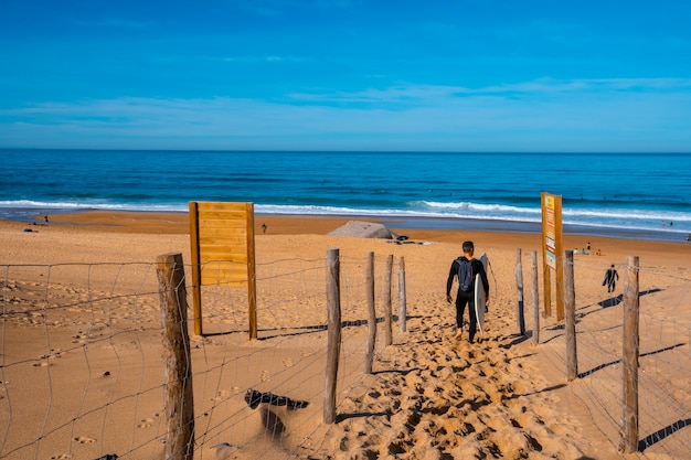 Surfer going down to Labenne Océan beach