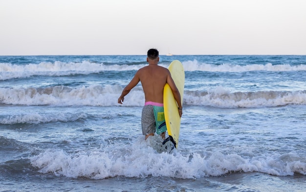 surfer with surfboard on the seashore