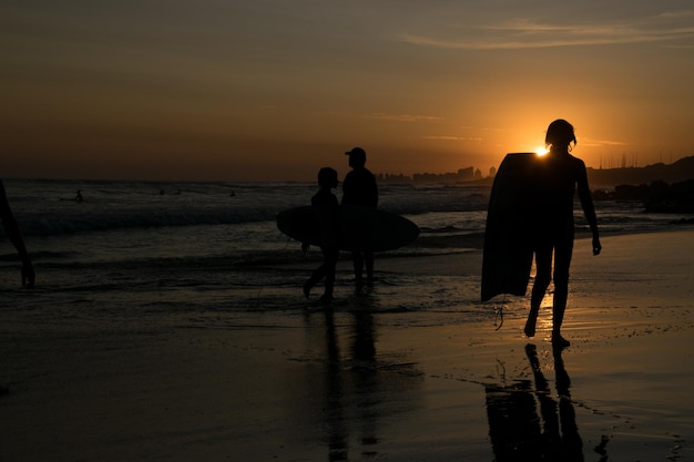Surfers in the beach during sunset