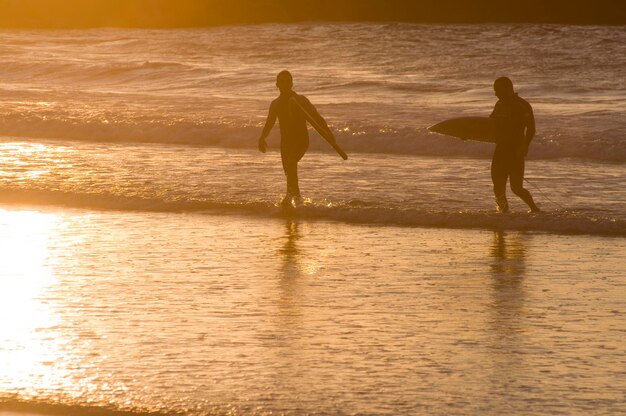 Surfers in a colorful sunset in a coastal area