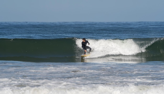 Surfing the wave on the beach of La Serena Chile