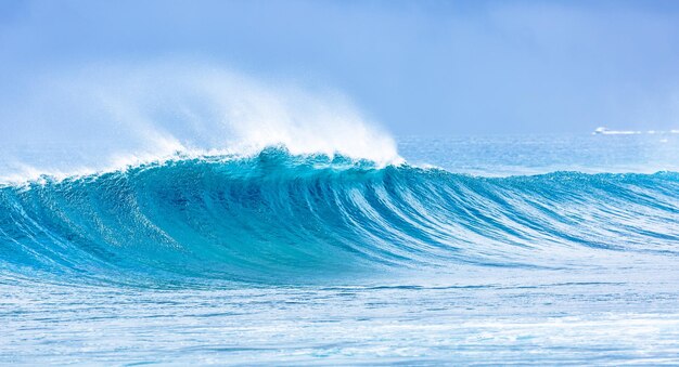 Surfing waves and ocean background