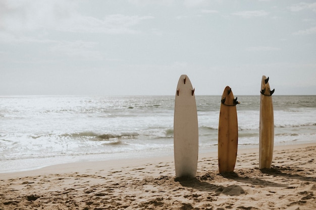 Surfplankmodel op het strand