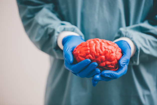 surgeon holding a brain