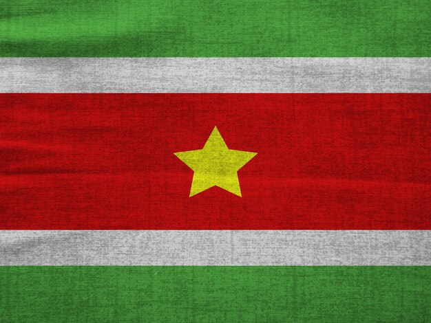 Suriname flag