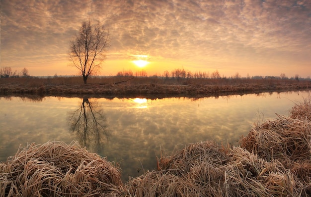 Surise reflection in the river in spring