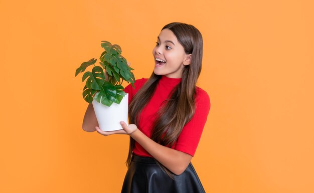 Surprised child with monstera in pot on yellow background