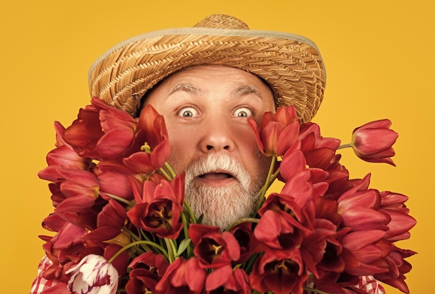 surprised old retired man in hat hold tulip flower bouquet on yellow background