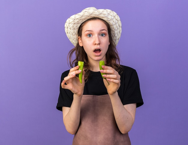 Surprised young female gardener wearing gardening hat holding broken pepper 