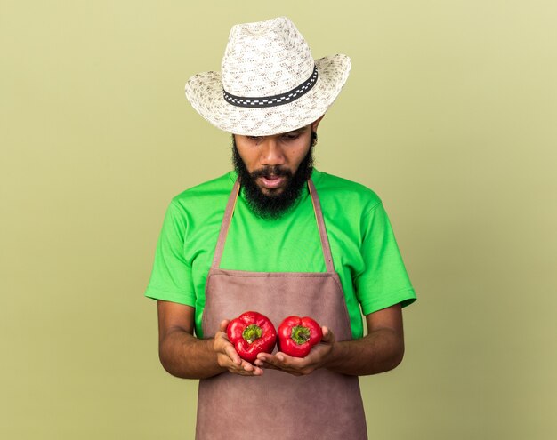 Surprised young gardener afro-american guy wearing gardening hat holding and looking at pepper 