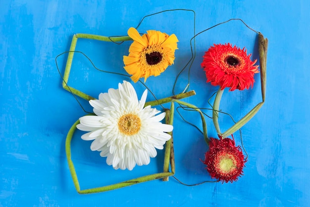 Foto prossimo piano surreale di un fiore rosso, bianco, giallo e arancione su un tavolo blu