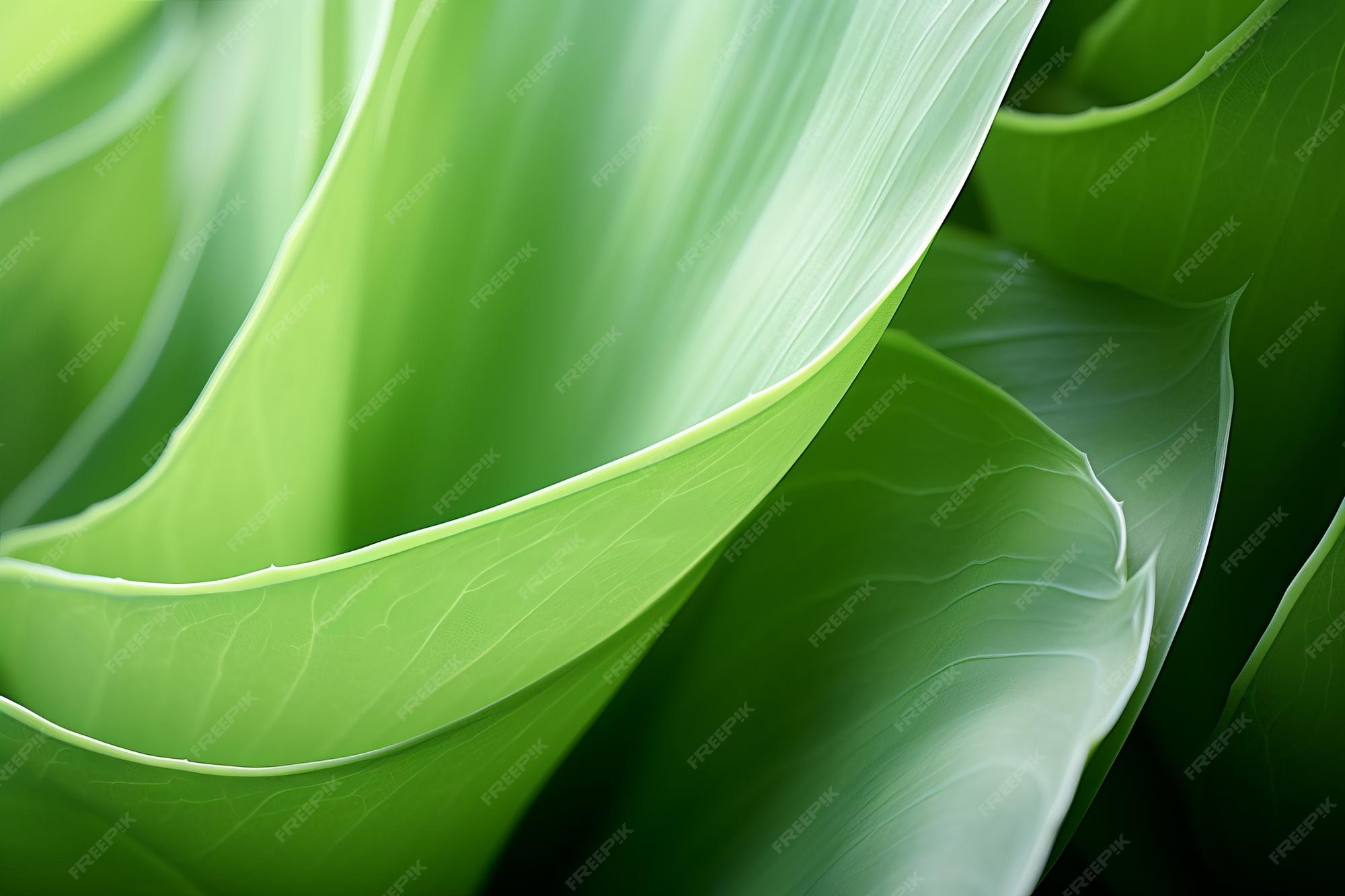 Premium AI Image | Surreal Splendor Exquisite Macro Capture of Foxtail 