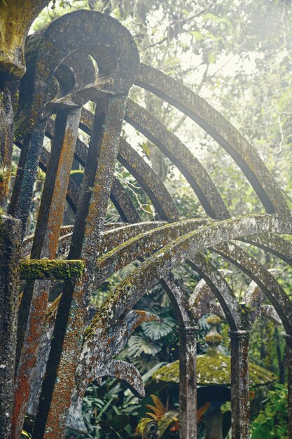 Foto surrealistische tuin las pozas in xilitla mexico