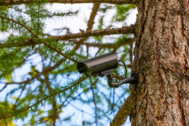 surveillance-camera-on-the-tree_102618-38.jpg