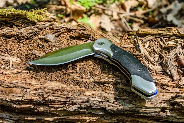 Складной нож для выживания на старом стволе дерева
