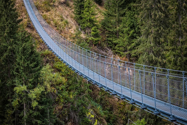 Suspended bridge on alps