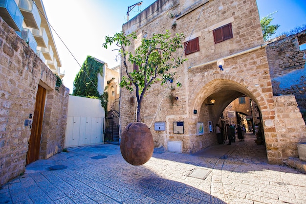 The suspended orange tree in Jaffa, Israel