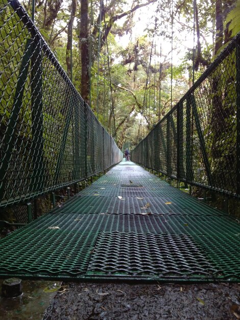 Suspended steel bridge in monteverde costa rica on the rainforest