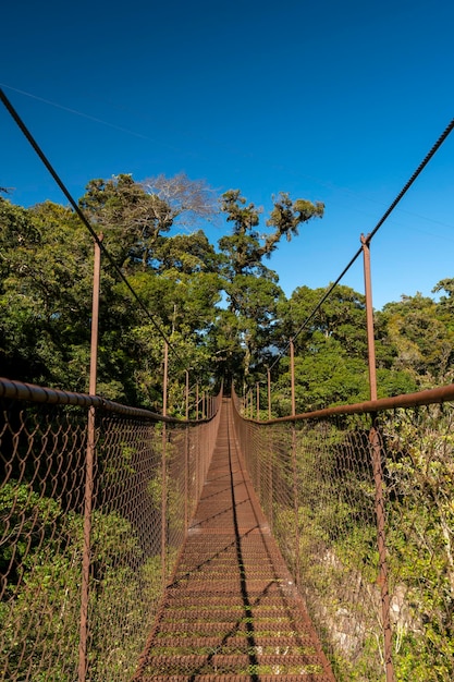 Suspension bridge in the cloudforest Volcan Baru National Park Chiriqui highlands Panama central America