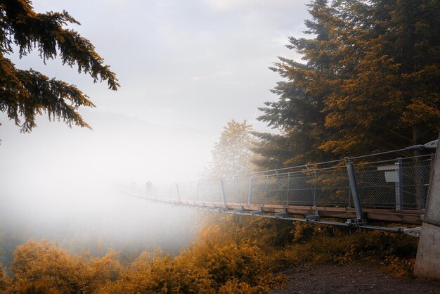 The suspension bridge geierlay in the autumn at fog germany