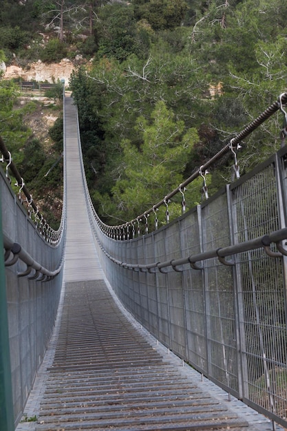 イスラエル、ハイファの吊橋