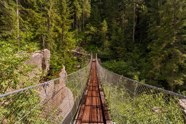 写真 トレンティノ・アルト・アディジェのベラモンテの森にある吊り橋