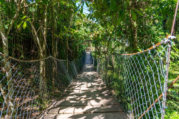 Suspension bridge in the jungle near the rice terraces in island Bali, Indonesia . Nature and travel concept