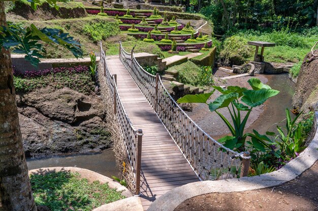 Suspension bridge in the jungle near the rice terraces in island Bali Indonesia Nature and travel concept