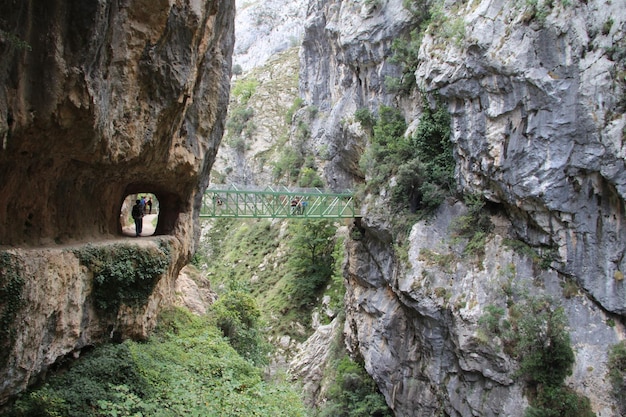 Suspension bridge in the peaks of Europe Asturias