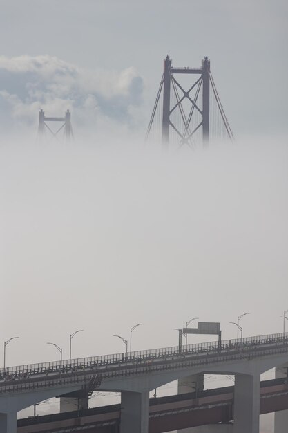 濃密な白霧のつり橋